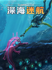 便宜体桖